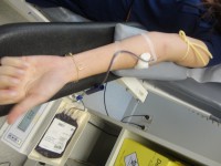 /album/amigos-de-sangue1/dsc00465-jpg1/