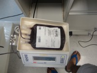 /album/amigos-de-sangue1/dsc00466-jpg1/